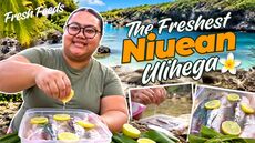 The Freshest Niuean Ulihega Feed | Fresh Feeds