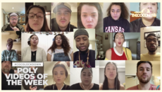 #CocoLockdown - Best Poly videos of the Week - Part2