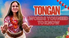 How To Survive In A Tongan Household This Tongan Language Week | Island Insight