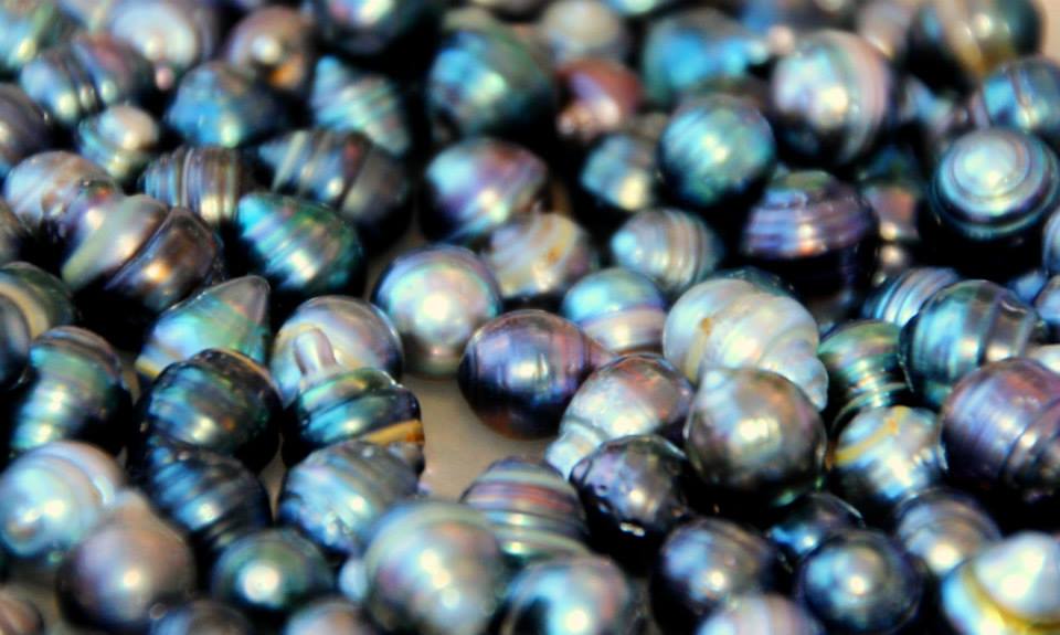 The Fight Against Rising Tides Black Pearls in the Cook Islands —