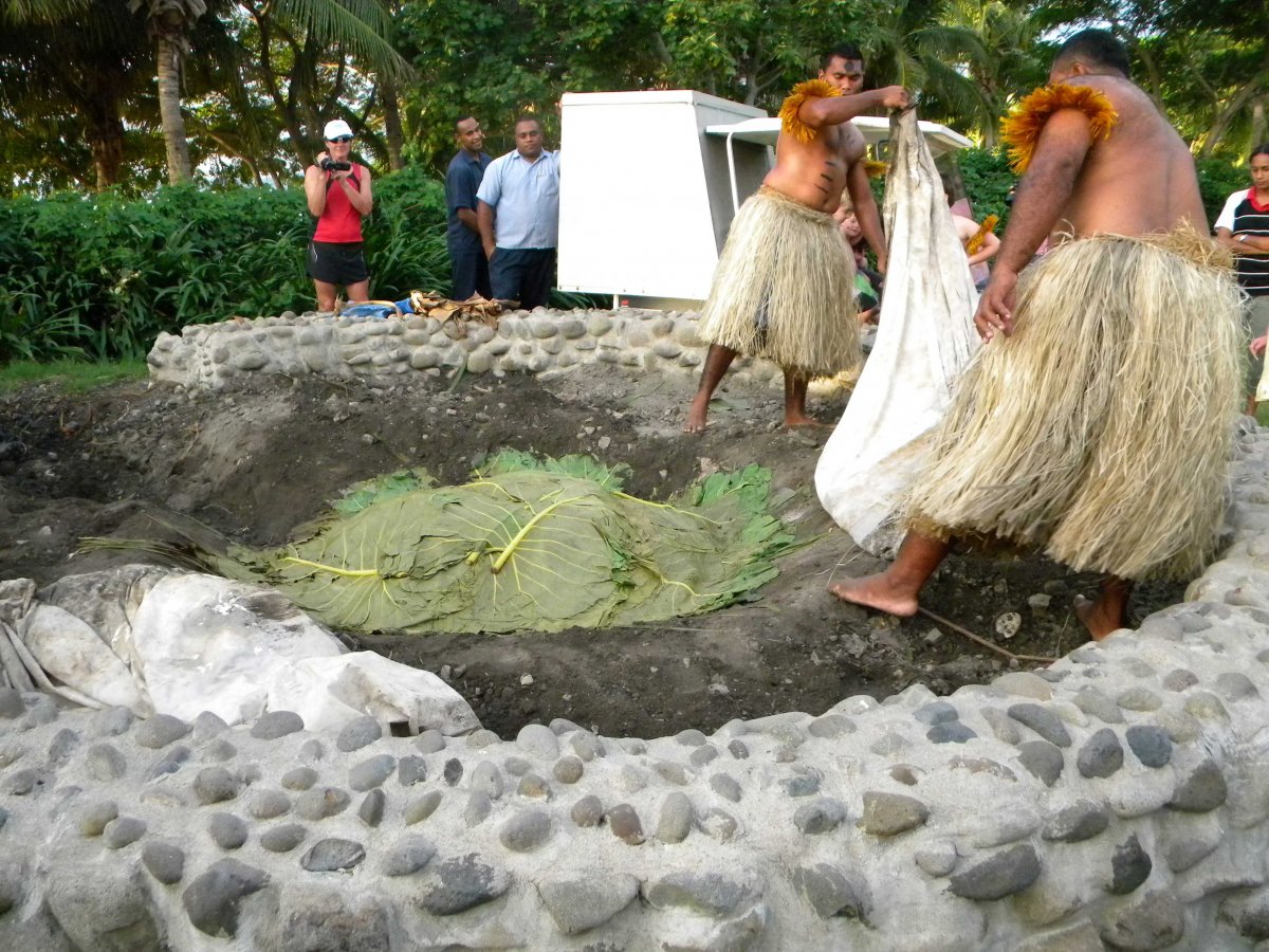 Earth Oven (Umu, Lovo, Hangi) — The world’s largest hub